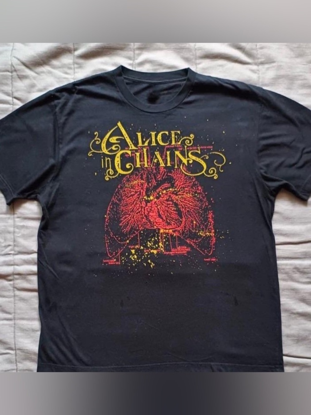 Alice in Chains Anatomy Black Band Graphic Tee